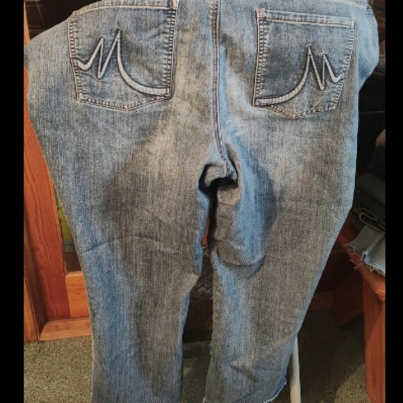 Women's Plus size jeans short style plus size 24W Short - Picture 2 of 3